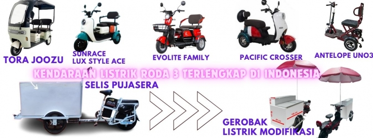 Sepeda Listrik Roda 3