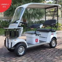 Uwinlfy KT2 Kendaraan Listrik Roda 4-sejenis Mobil Golf dengan Power Motor 800W Battery Kering 60V 20Ah